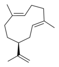Profile Picture of Germacreneon Wikipedia
