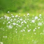 Profile Picture of vishnyakovfrank95 (@vishnyakovfrank95) on Instagram