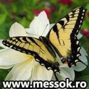 Profile Picture of Danielle Snow (@182924285) on Myspace