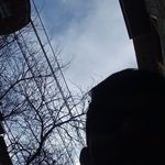 Profile Picture of Tariq Rashid (@ishfaaq111) on Instagram