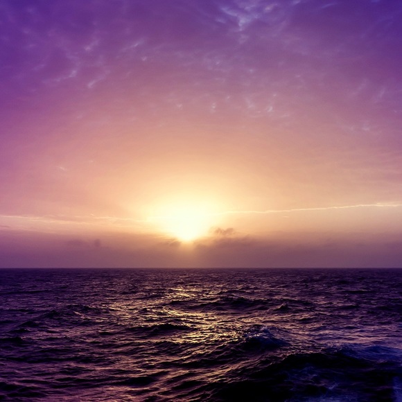 Profile Picture of Jialu Zhang (@jialuzhang) on Poshmark