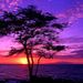 Profile Picture of Ava Learn (@26avalearn) on Pinterest