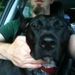 Profile Picture of Jeff Roy (@jeydeargh) on Pinterest