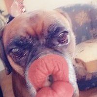 Profile Picture of Déborah Labbé (@DborahLabb1) on Twitter