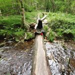 Profile Picture of Darcywatts (@darcywattsy) on Instagram