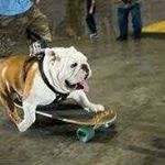 Profile Picture of Zachary Johnson (@frankenstienjohnson) on Instagram