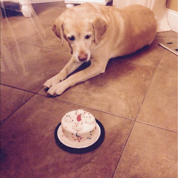 Profile Picture of Mia Tornetta (@mtornetta) on Poshmark