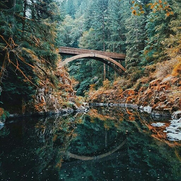 Profile Picture of Wesley Pezzella (@wesleylp) on Poshmark