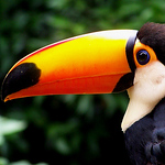 Profile Picture of Nancy Silva (@Ncy.) on Flickr