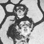 Profile Picture of Andrew Turner (@rickell21_) on Instagram