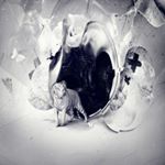 Profile Picture of Michael Taylor (@saraykinapiscopo) on Instagram