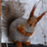 Profile Picture of Mary Alayne Thomas (@squirrelmagic) on Flickr