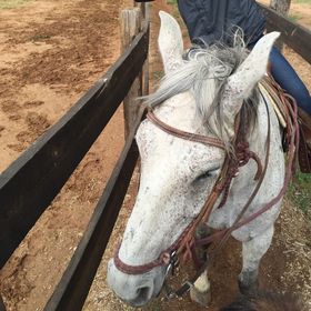 Profile Picture of Susan Mabee-Jameson (@mabeejameson) on Pinterest