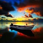 Travis Mark Franz - Instagram Profile Picture of Travis Mark Franz (@travismarkfranz) on Instagram