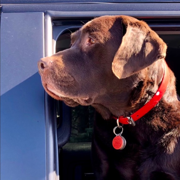 Profile Picture of Joe Cardoza (@joecardoza) on Poshmark