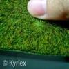 Profile Picture of margaretyswift4p (@@margaretyswift4p35) on Tiktok