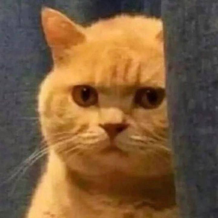 Profile Picture of Basil (@basilbailey_) on Tiktok
