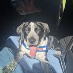 Profile Picture of Tabitha Hicks (@tabitha.hicks.313277) on Facebook