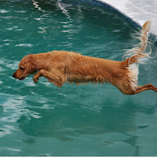 Profile Picture of Steven Kent (@ka4sxi) on Youtube