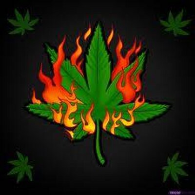 Profile Picture of Zachary Seals (@zacharyseals) on Twitter