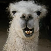 Profile Picture of IVAN BARRAZA (@ivanbarraza968) on Youtube