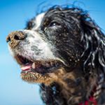 Profile Picture of George (@georgemb.photos) on Instagram