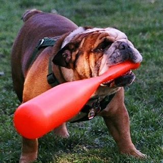 Profile Picture of Jim Dailey (@jim.dailey.773) on Facebook