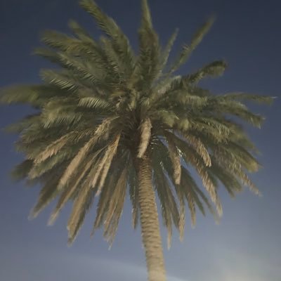 Profile Picture of McDoe McDeee (@McafeeStuart) on Twitter