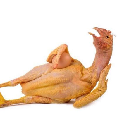 Profile Picture of Brent Benson (@BrentB92) on Twitter