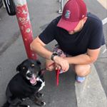 Profile Picture of Chris Dixon (@chris.dixon5) on Instagram