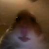 Profile Picture of kevin (@@kevin_albo_kevin) on Tiktok