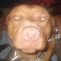 Profile Picture of Ronald Keeler (@ronald-keeler-5) on Quora