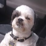 Profile Picture of david evanovich (@beachcomber2019) on Instagram