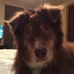 Profile Picture of Robin Rasor (@rasorr1) on Instagram