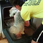 Profile Picture of Michael Martin (@mcmartin7978) on Instagram