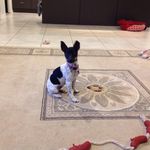 Profile Picture of Robert Beeley (@robertbeeley) on Instagram