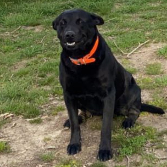 Profile Picture of Austin Maddle (@austinbmaddle22) on Poshmark