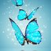 Profile Picture of Alexandra (@nechiforalexandra16) on Pinterest