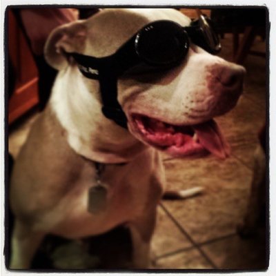 Profile Picture of Matt Macoul (@MMacoul44) on Twitter