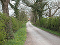 Profile Picture of Golborne Davidon Wikipedia
