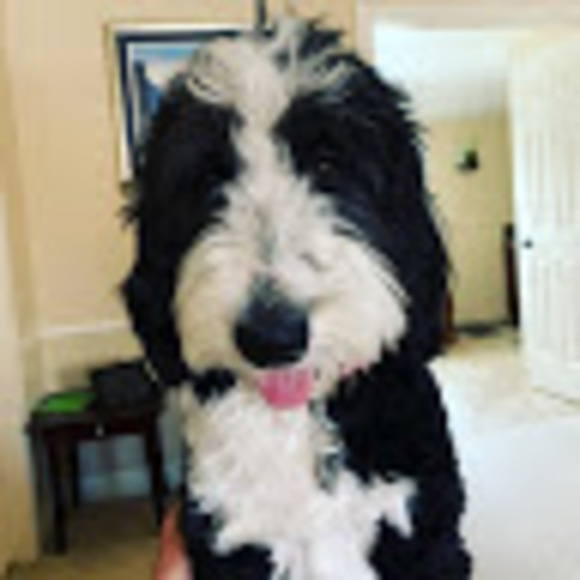 Profile Picture of Sherelle Horsfield (@s_horsfield) on Poshmark