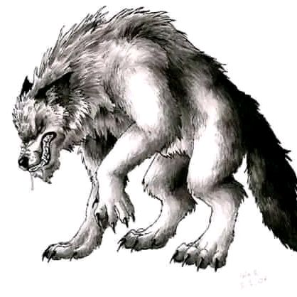 Profile Picture of David Benze (@davidbenze) on Tiktok