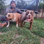 Profile Picture of Dustin John Cabral (@peekabookennels) on Instagram