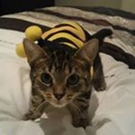 Profile Picture of Kerry Downs (@kerrydowns55) on Instagram