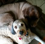 Profile Picture of Carrie Liskiewicz (@Carrie-Liskiewicz) on Facebook