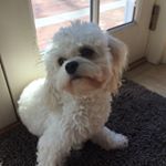 Profile Picture of Hudson Alexander McCormick (@hudson_mccormick) on Instagram