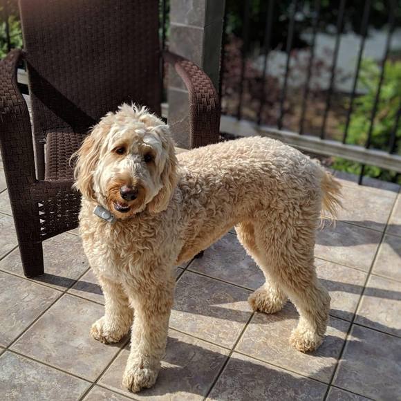 Jan Humphries - Poshmark Profile Picture of Jan Humphries (@blondie8850) on Poshmark