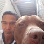Profile Picture of Walter Martins (@walter.martins.105389) on Facebook
