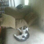 Profile Picture of Zachary Pulliam (@zacharypulliam) on Instagram
