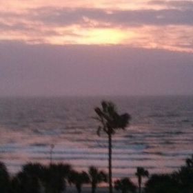 Profile Picture of Carol Hlavaty (@carolhlavaty) on Pinterest